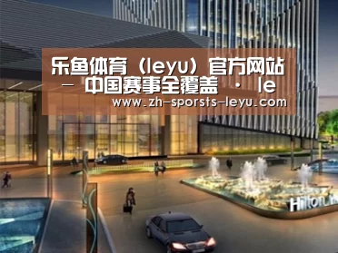 案例展示二