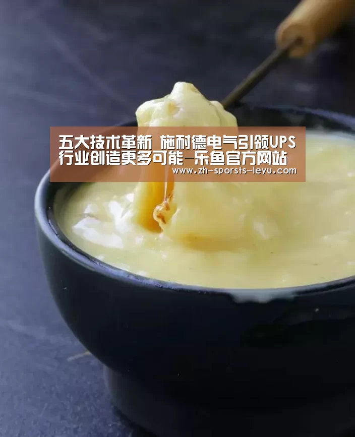 五大技术革新 施耐德电气引领UPS行业创造更多可能-乐鱼官方网站地址(图4) 乐鱼极致竞技体验