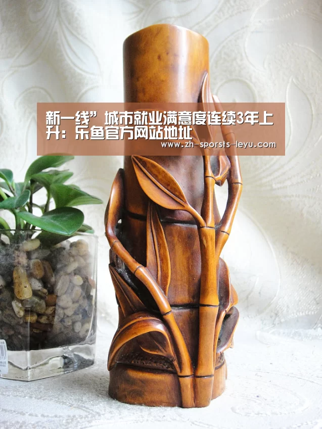 新一线”城市就业满意度连续3年上升:乐鱼官方网站地址(图1) 乐鱼平台最新版本