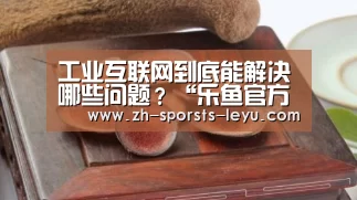 工业互联网到底能解决哪些问题?“乐鱼官方网站地址”(图2) 乐鱼官方网站地址